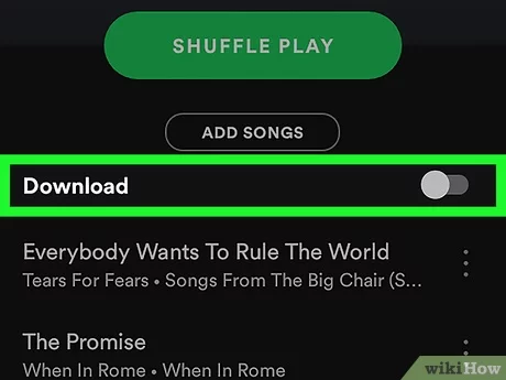 How do you download things on spotify playlist
